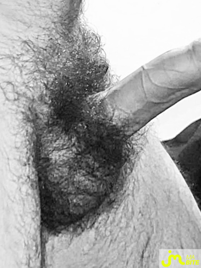 bites de Couplebibaiseurs