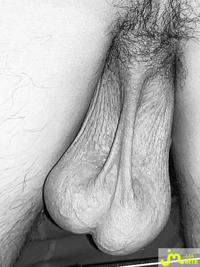 bites de Couplebibaiseurs