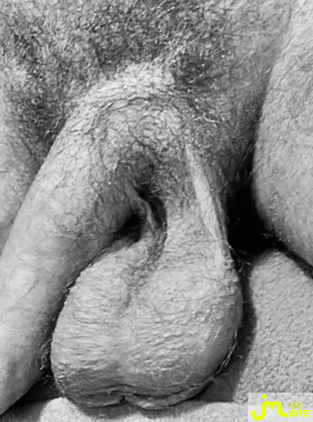 bites de Couplebibaiseurs