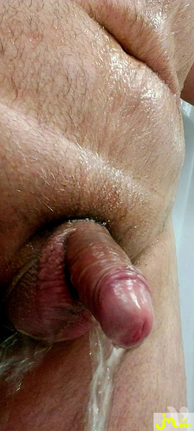 bites de Nous295