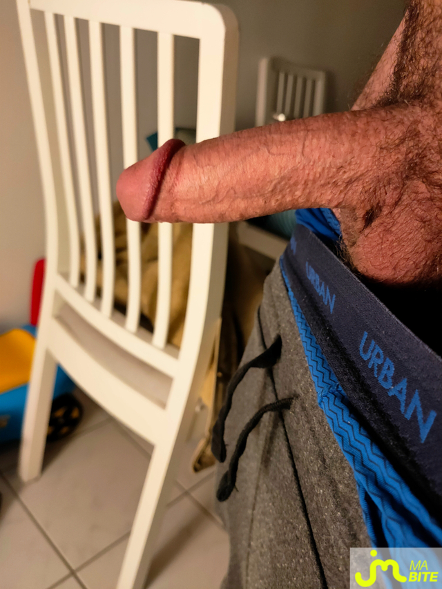 bites de Elastik Dik