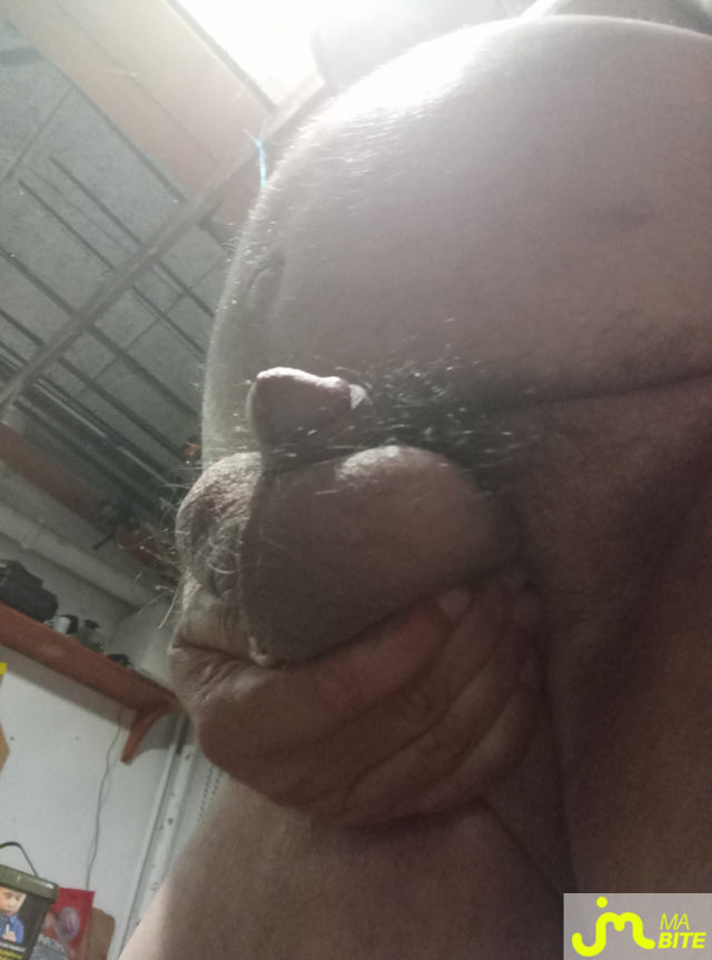 bites de David David 