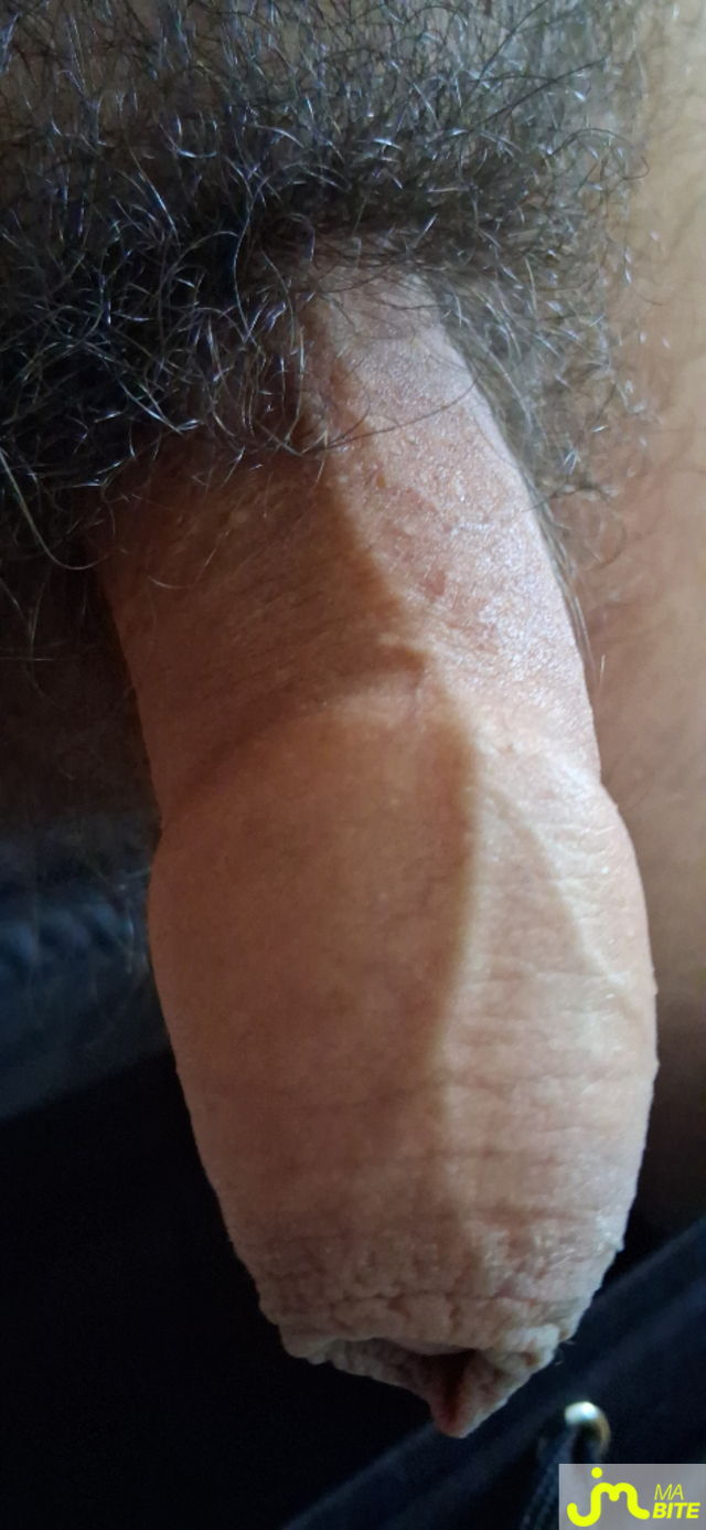 bites de Couple calins