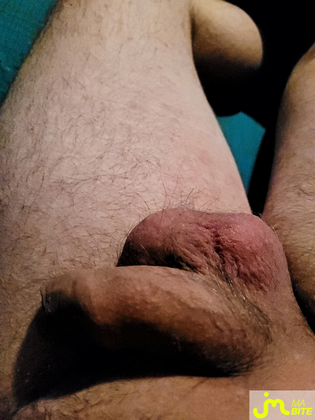 bites de Job62