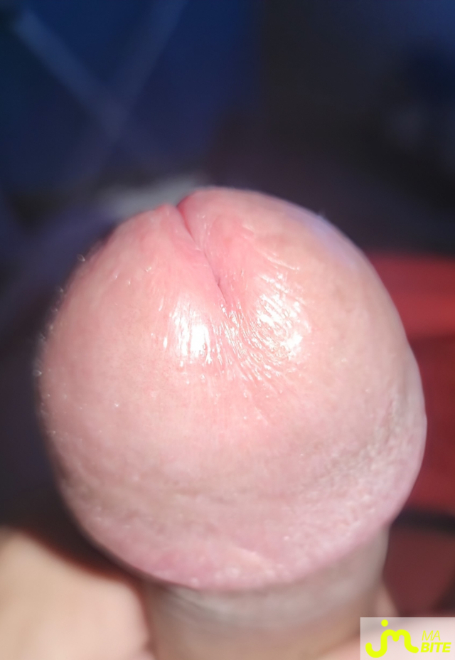 bites de Mecdu43