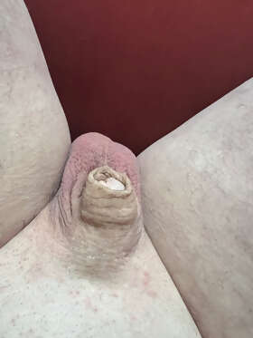 Photos de bites : Au plaisir mesdames 