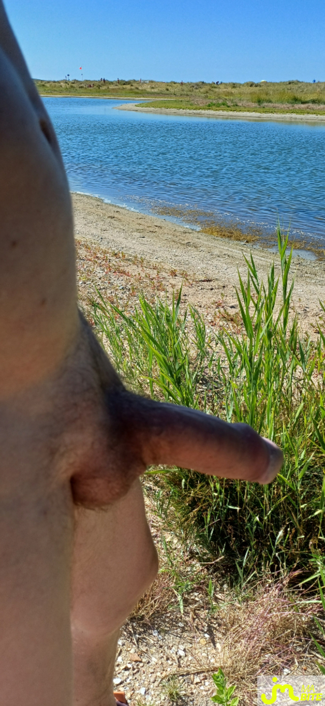 bites de Ankhor