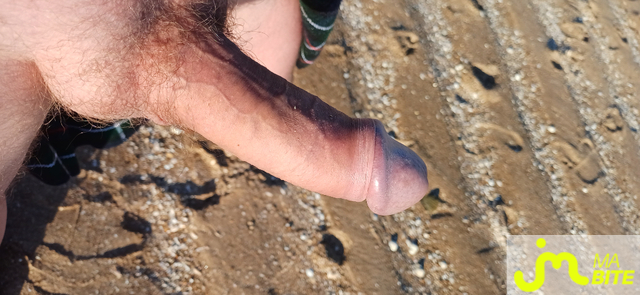bites de Ankhor