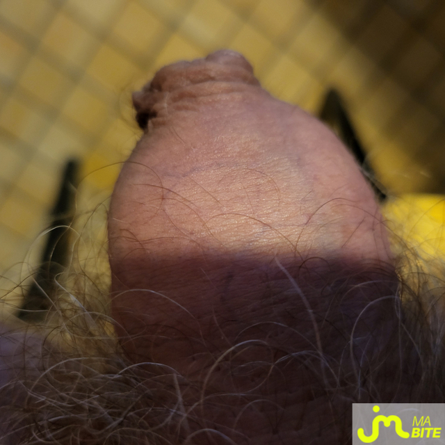 Photos de bites : pour Dames aimant les petites épaisses et poilues 