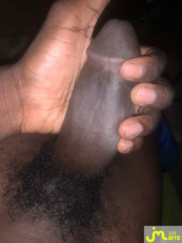 bites de Aidi10