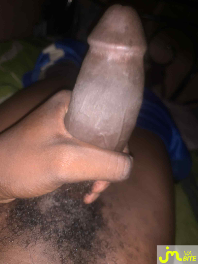 bites de Aidi10