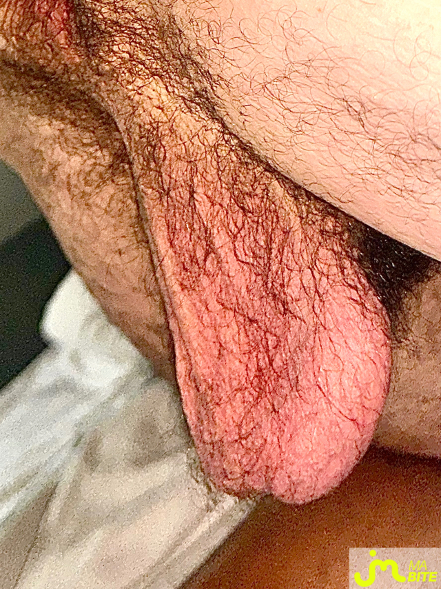 bites de Couplebibaiseurs