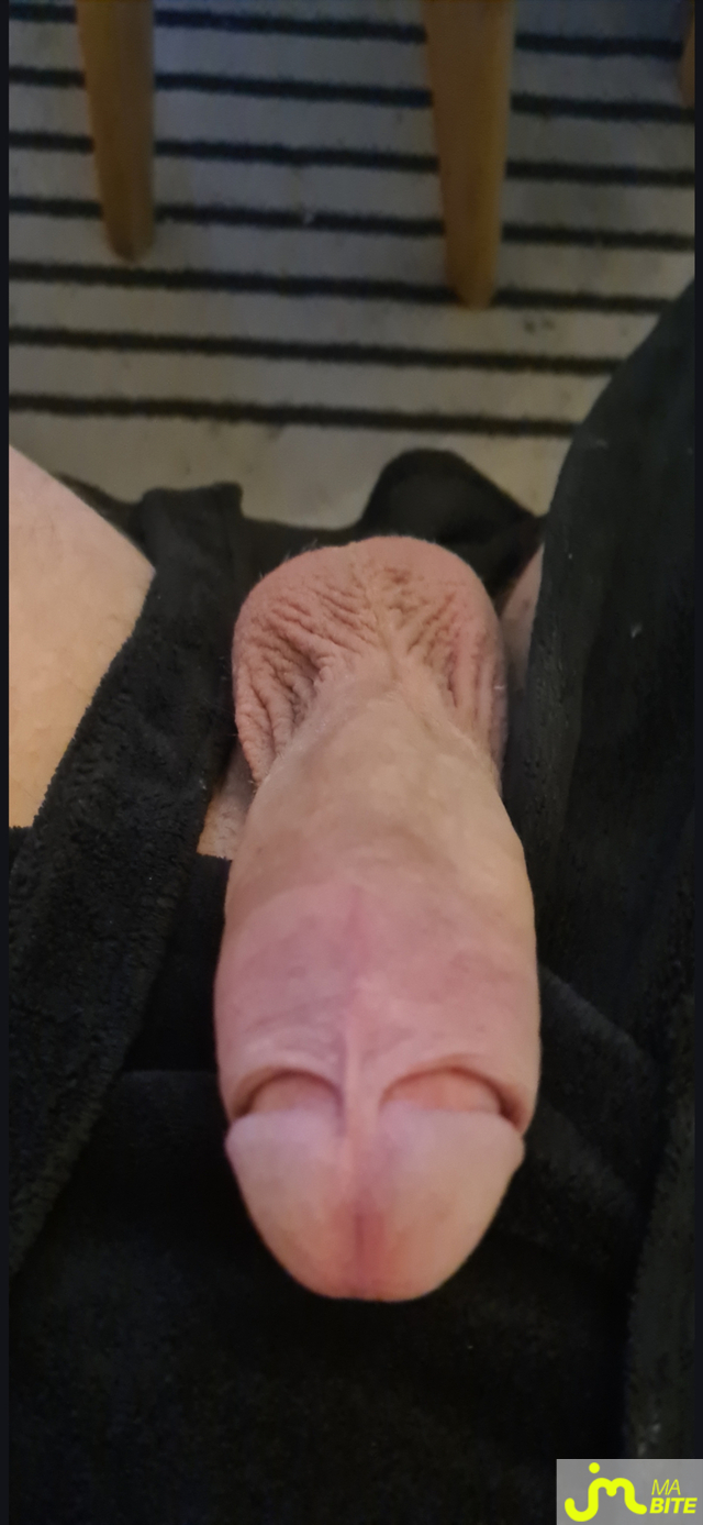 bites de phiphi76133