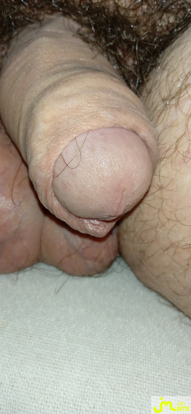 bites de J'aimelabiteetpiss