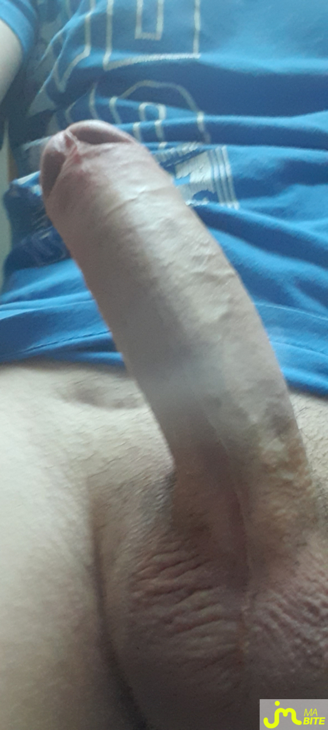 bites de Zizi breton 35