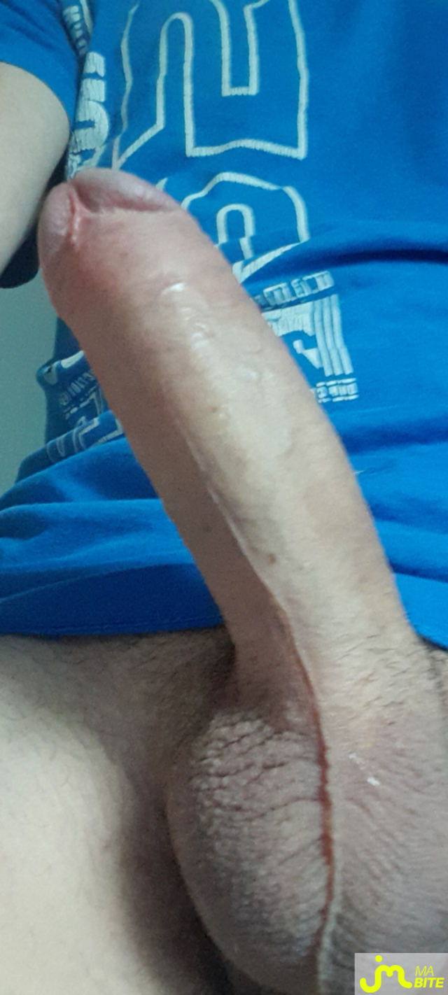 bites de Zizi breton 35