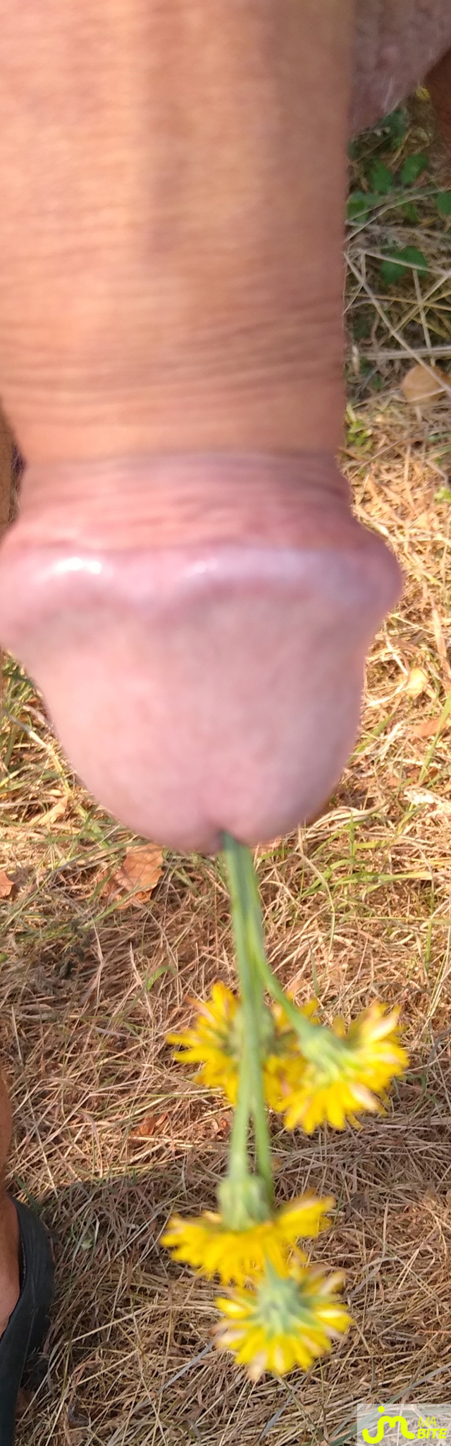 bites de Lami63