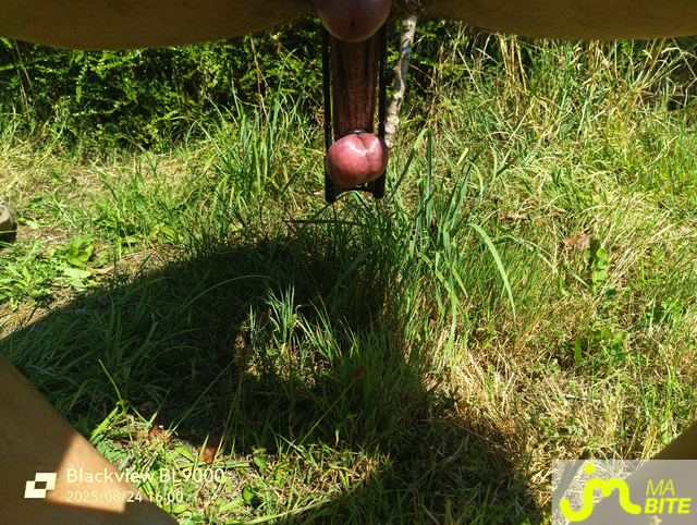 bites de Étirement boules