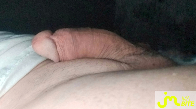 bites de van3005
