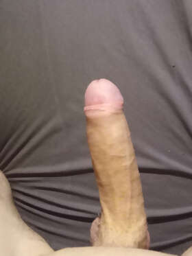 Photos de bites : 2e contribution 