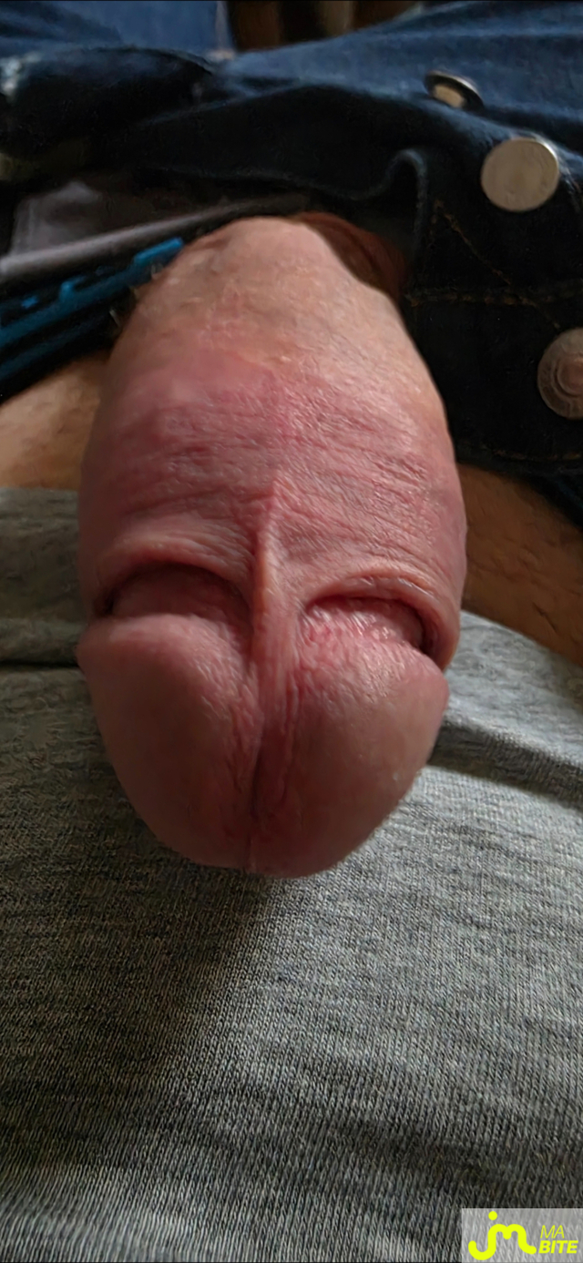 bites de phiphi76133