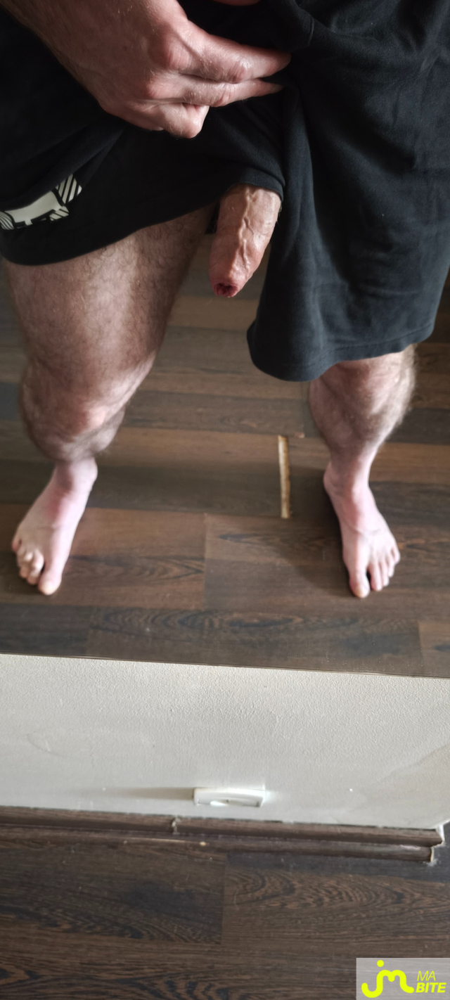 bites de Bestofhairy
