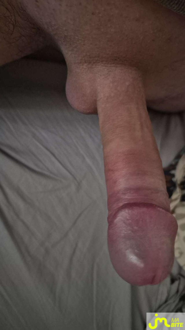 bites de Damdam31