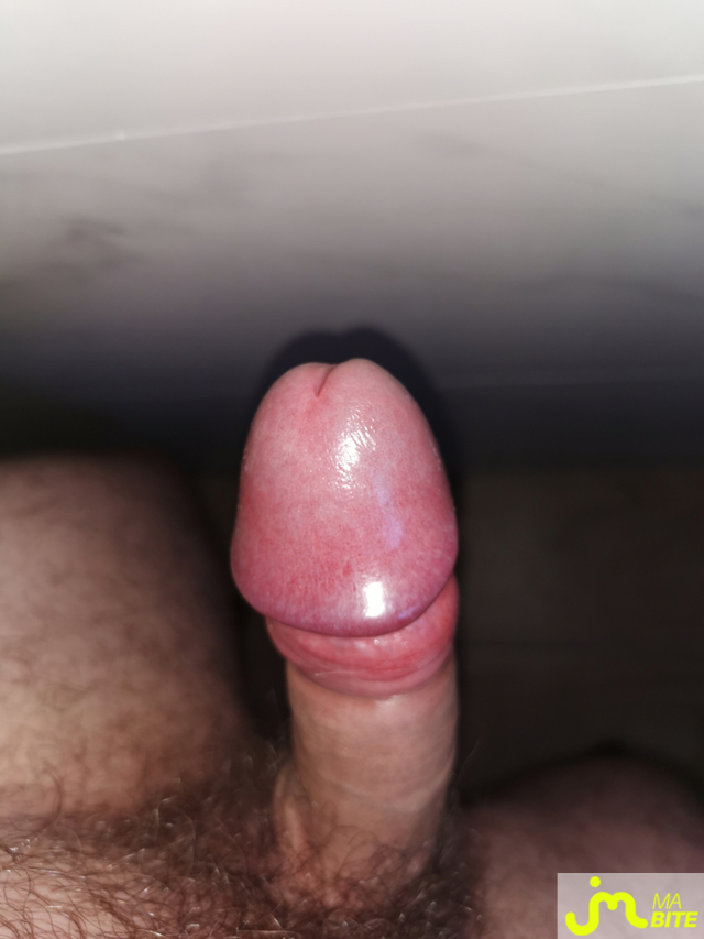 bites de Amaymon16000