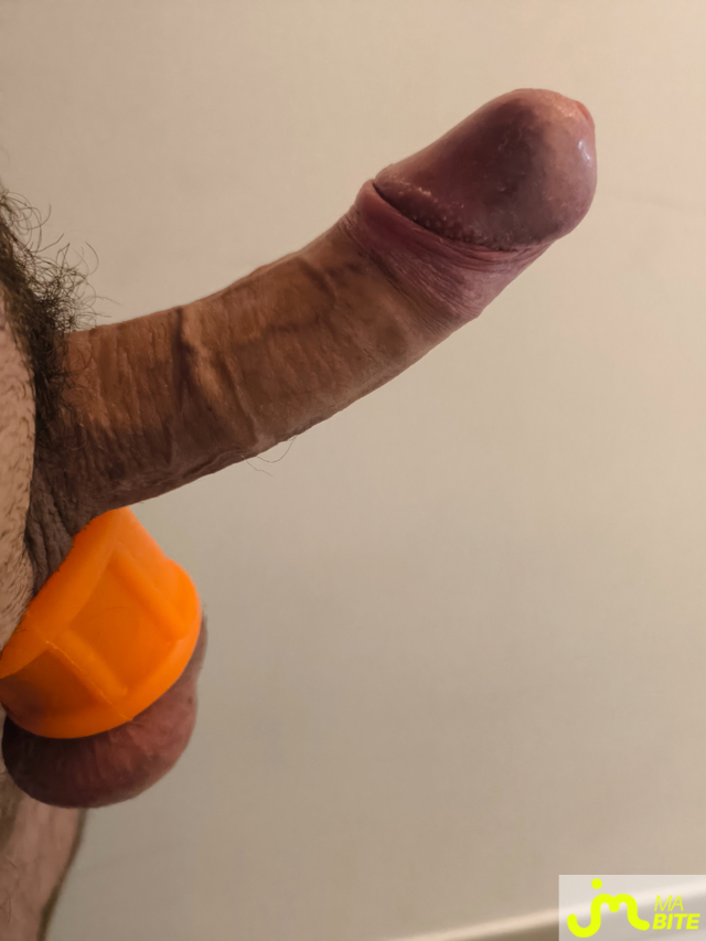 bites de Kekette71