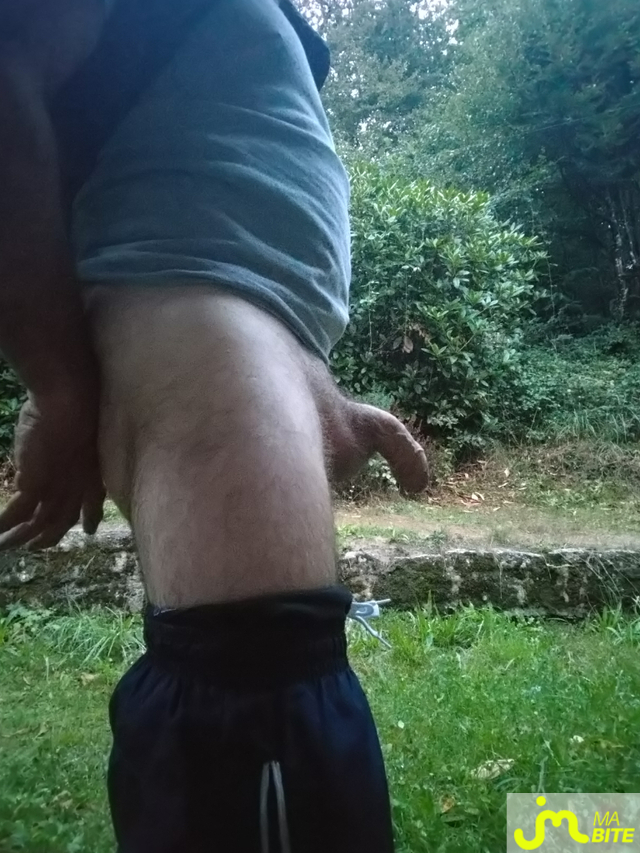 bites de duroch