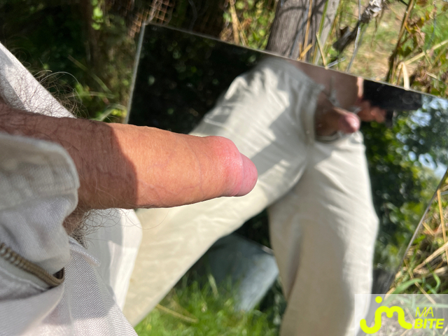 Photos de bites : Bite chic