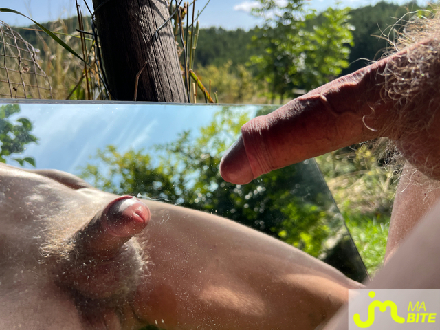 bites de vertvif