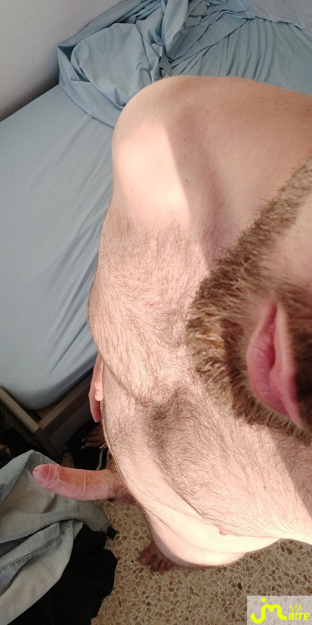 bites de Jeune16
