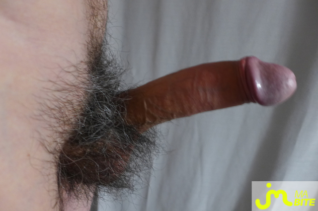 bites de Souplesec