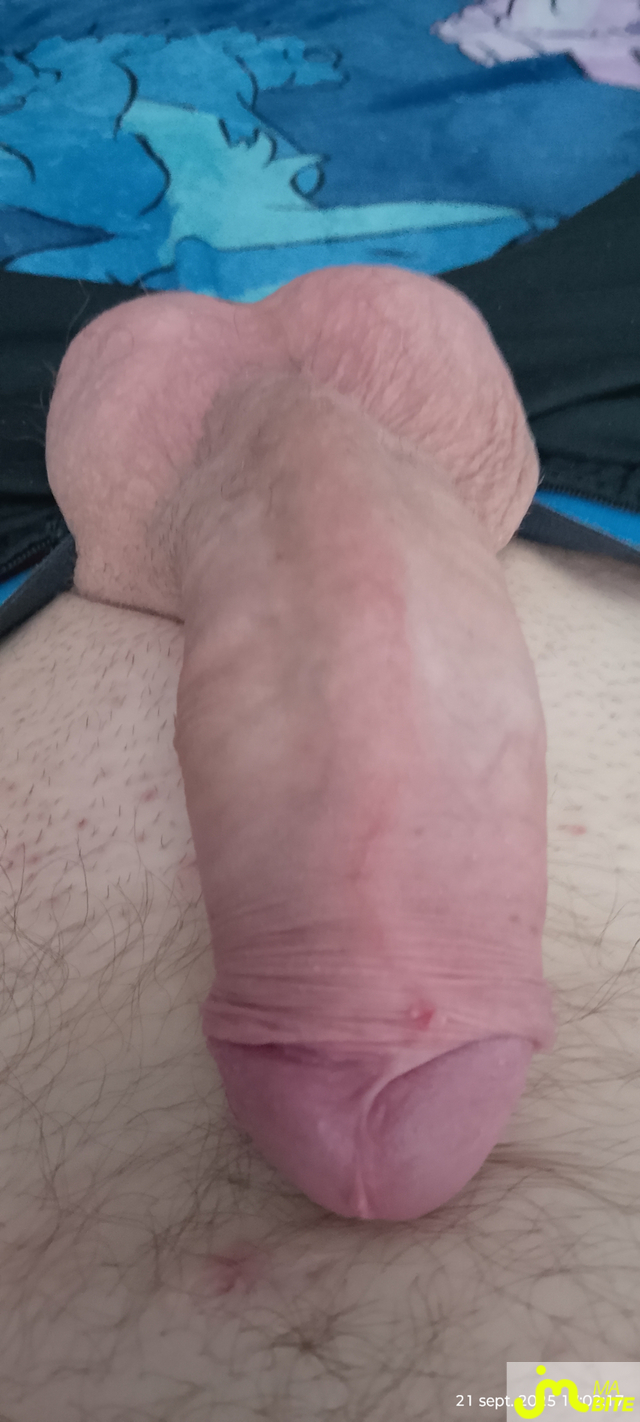 bites de Lelingoteur