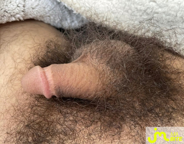 bites de Coucou8891