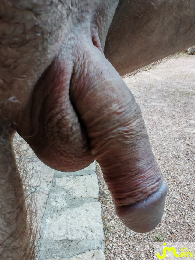 bites de Morphéus Dark