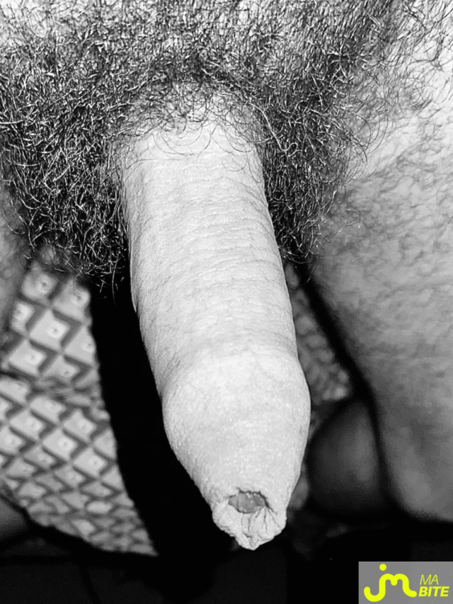 bites de Couplebibaiseurs