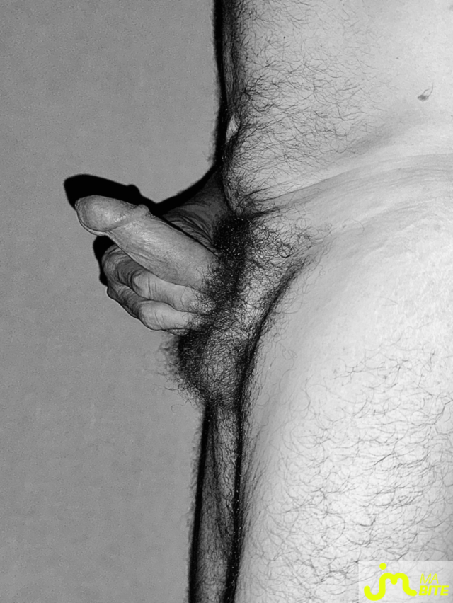 bites de Couplebibaiseurs