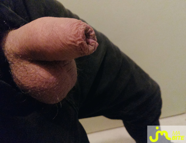 bites de Cocklover83