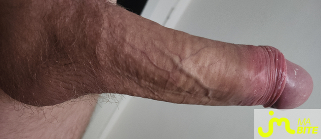 bites de plomb50100