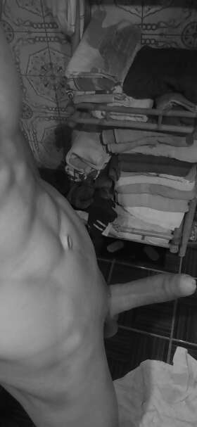 Photos de bites : Suite