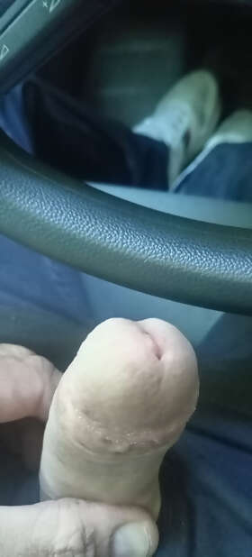 Photos de bites : En voiture 