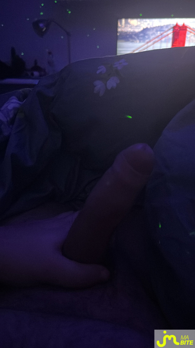 bites de Lepetitbelge