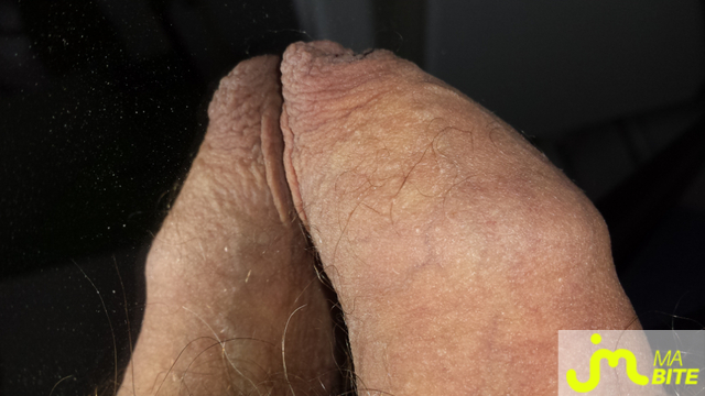 bites de close_up_zizi