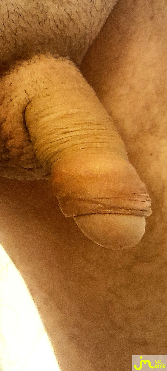 bites de Filoubarr 
