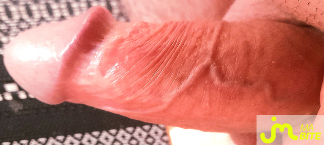 bites de Filoubarr 