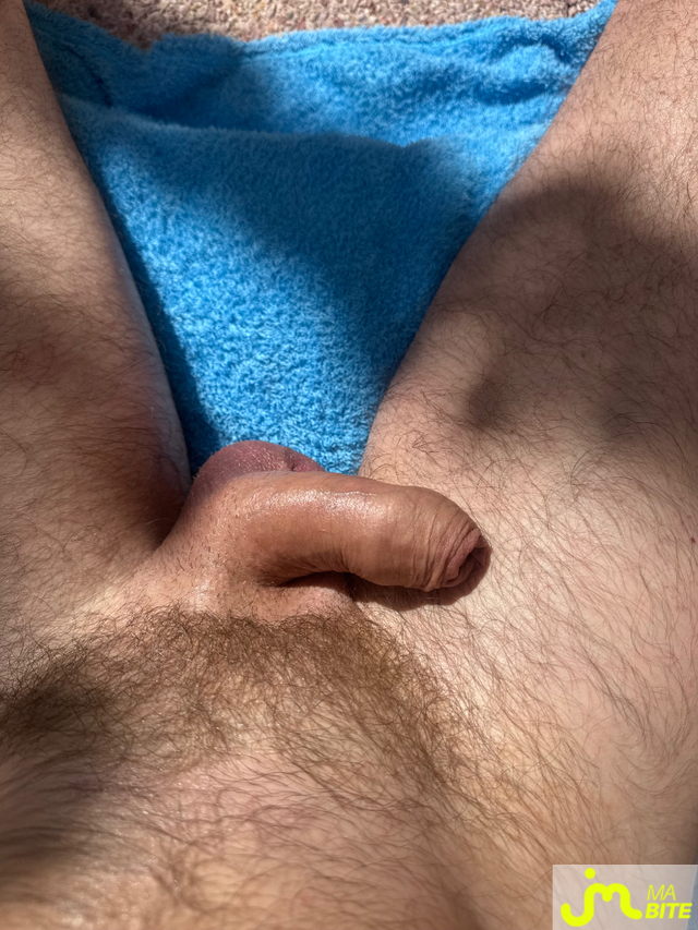 bites de didi-voissa