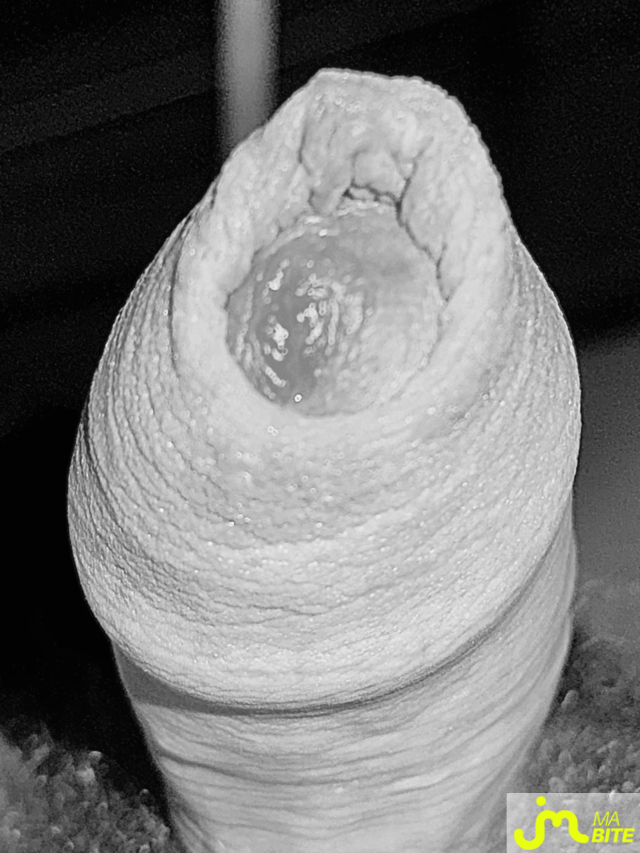 bites de Lesvieuxamants