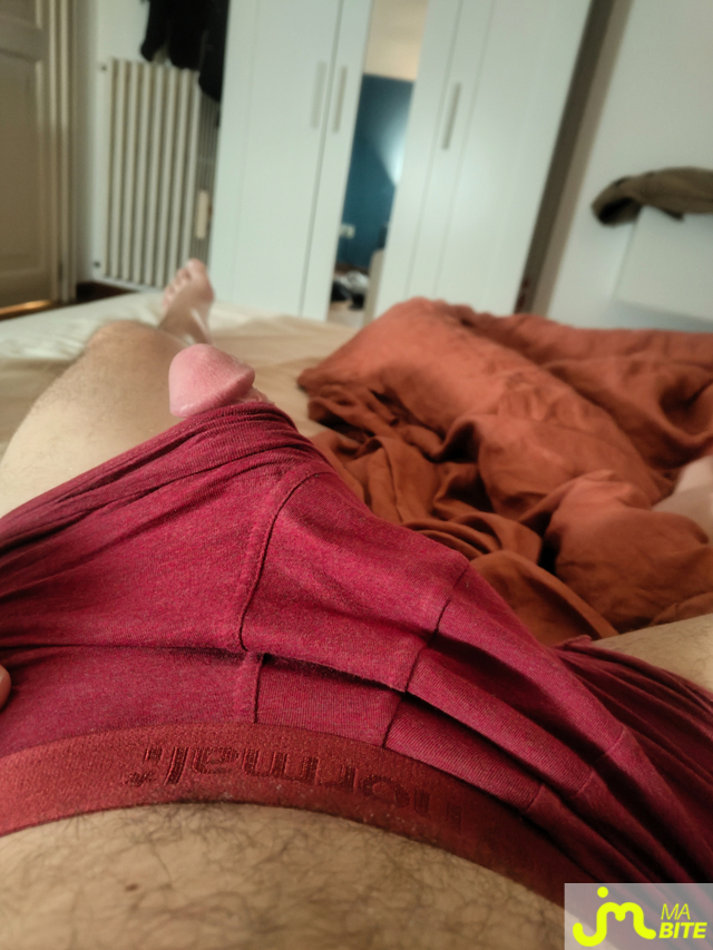 bites de Swisspenis
